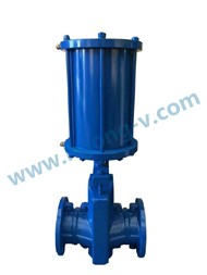 API/DIN cast steel pneumatic flange pinch valve